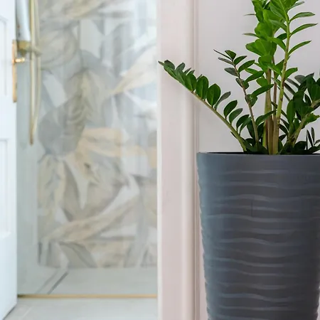 White House Luxury ספליט