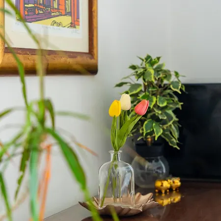 White House Luxury Apartman Split