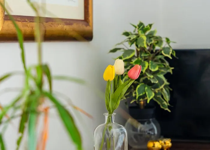 White House Luxury - Center, Near & Parking Appartement Split