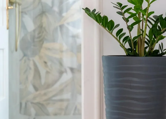 White House Luxury - Center, Near & Parking Split